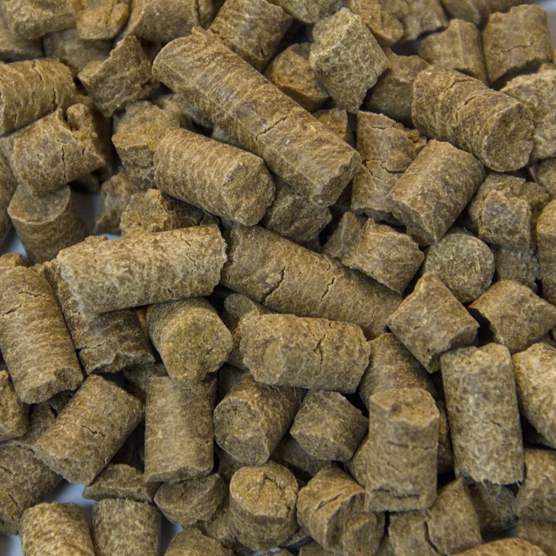 Barley Protein Concentrate