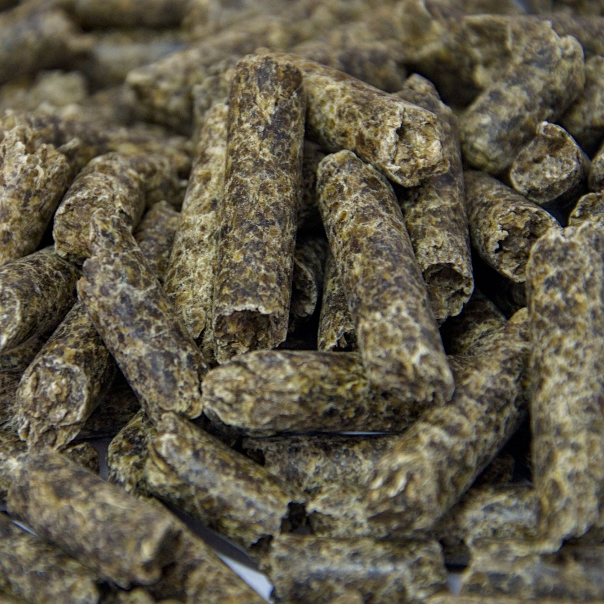 Beet Pulp Pellets